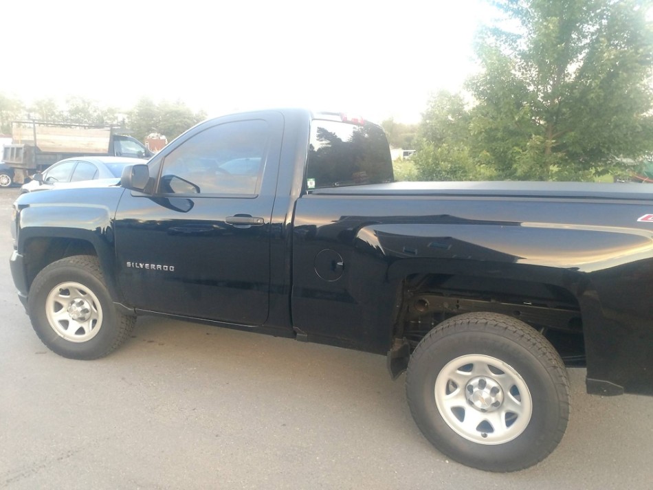 Pickups tinting