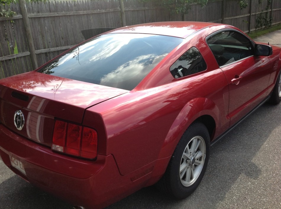 Sports tinting